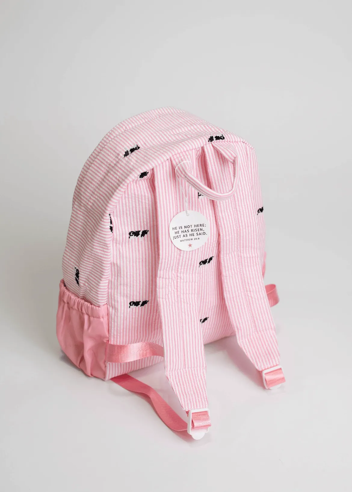 Pink Stripe Embroidered Backpack