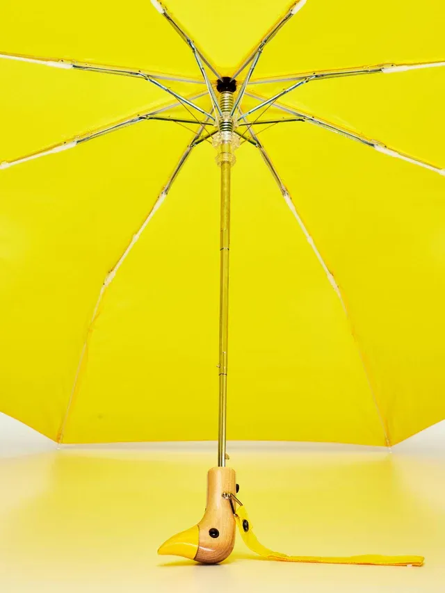 The Original Duckhead Umbrella